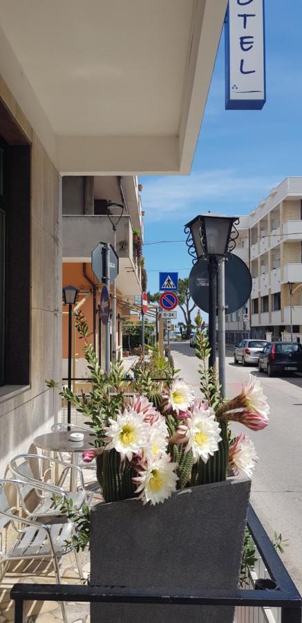 Hotel Blurelda Silvi Marina Exterior foto
